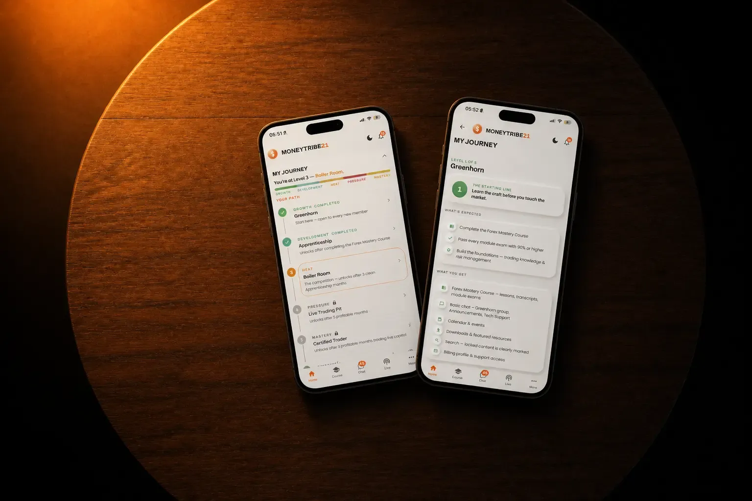 The My Journey progress screens in the MoneyTribe21 app